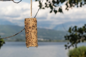 Bird feeder made by children out of a used paper roll